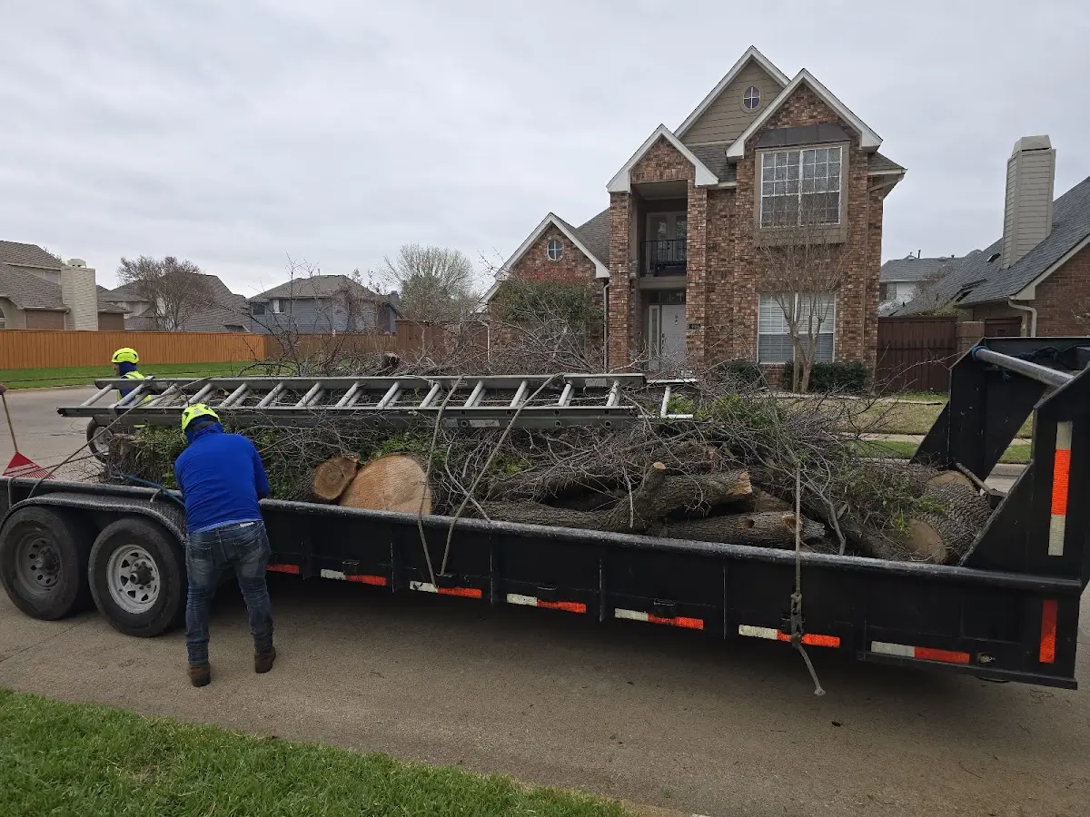 Expert Tree Fertilization with proper safety equipment in Leeds Point